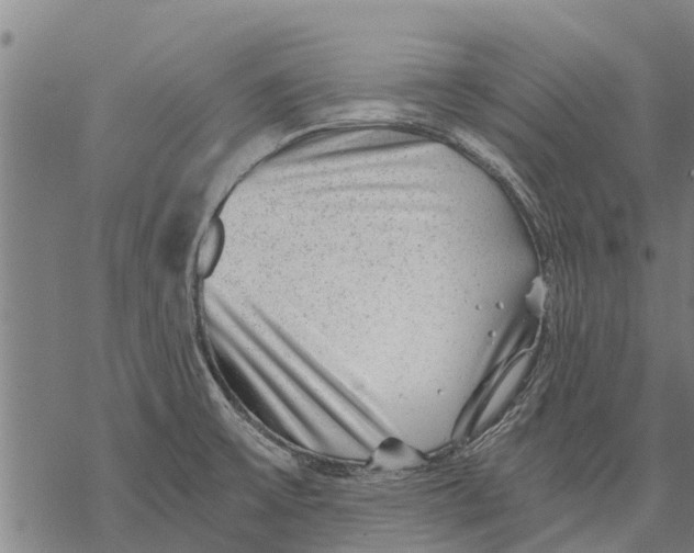 X0000068831475200605261603