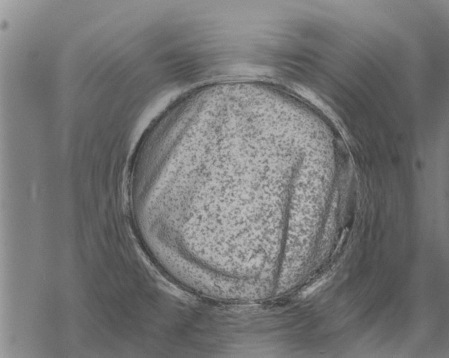 X0000068831477200605261603