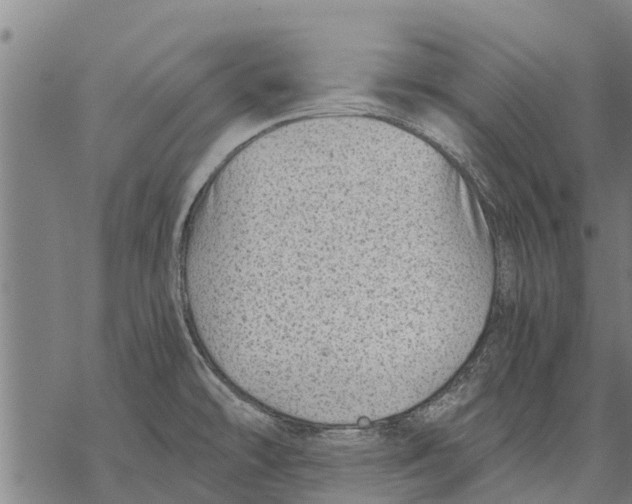 X0000068831478200605261603