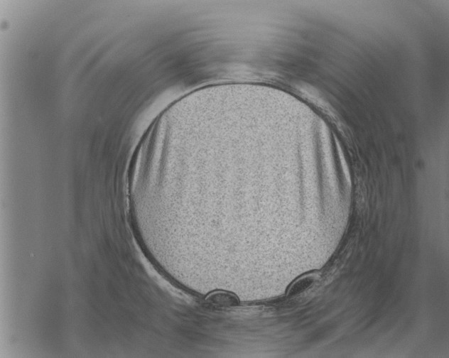 X0000068831479200605261603