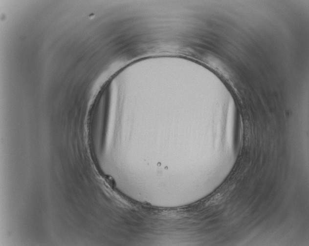 X0000068831480200605261603