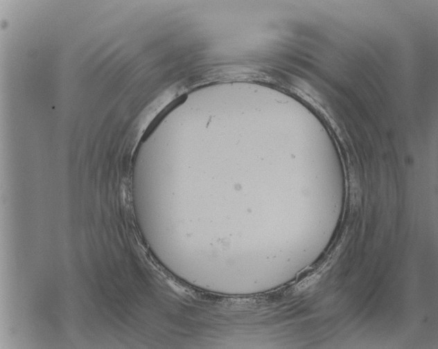 X0000068831481200605261603