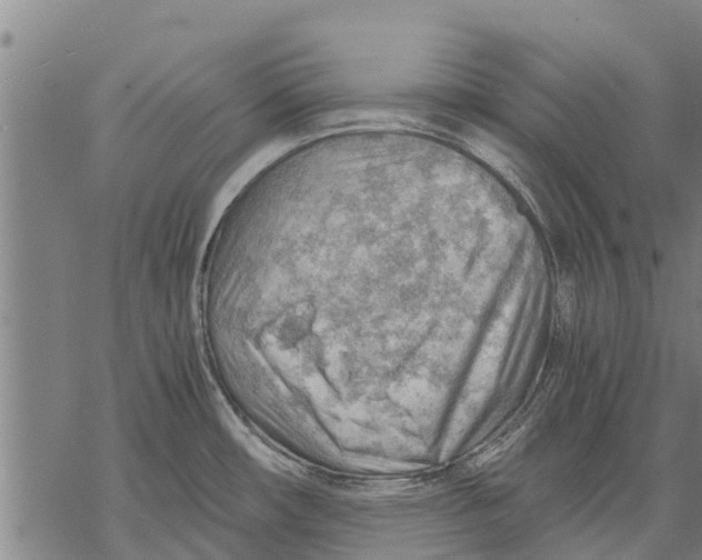 X0000068831482200605261603