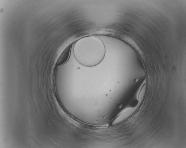 X0000068831483200605261603