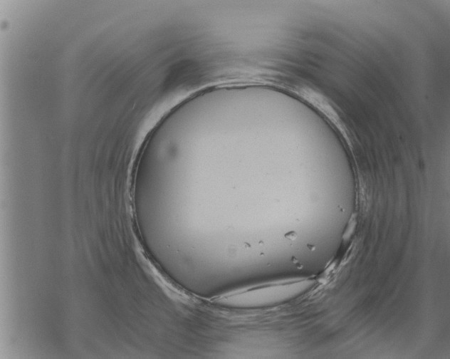 X0000068831485200605261603