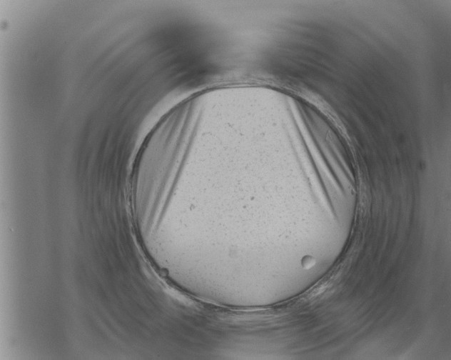 X0000068831486200605261603