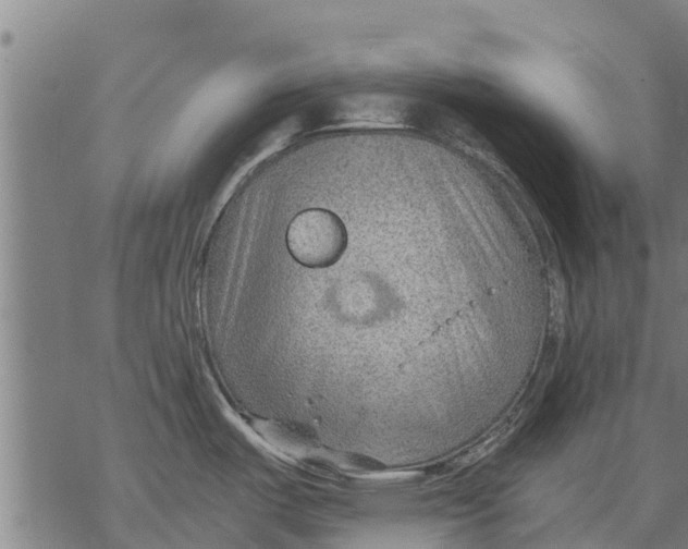 X0000068831487200605261603