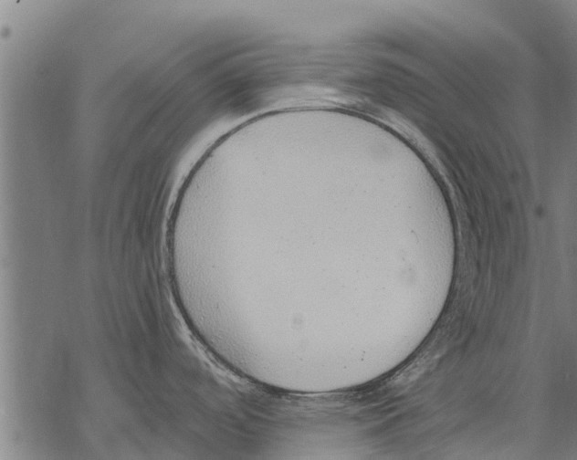 X0000068831488200605261603