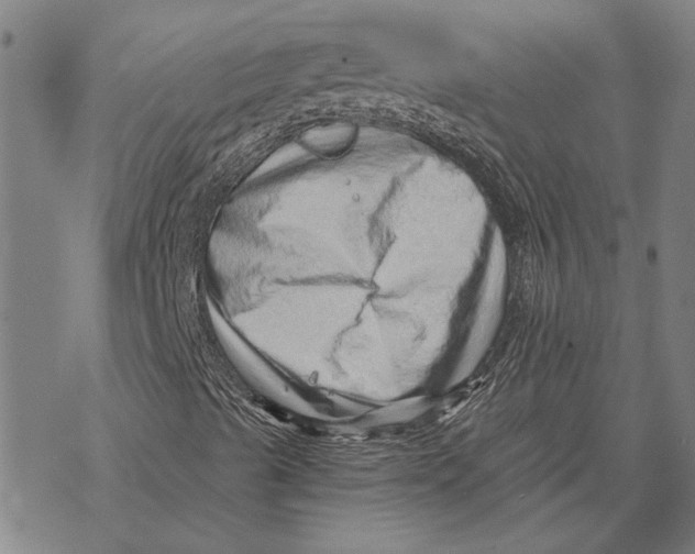 X0000068831489200605261602