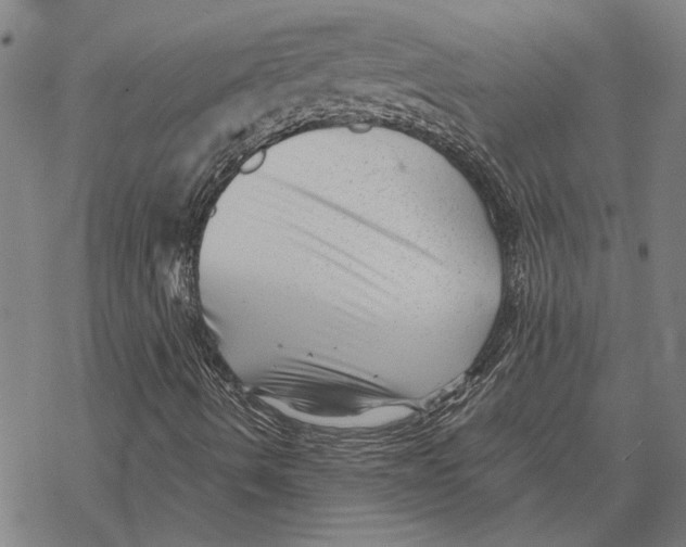 X0000068831490200605261602