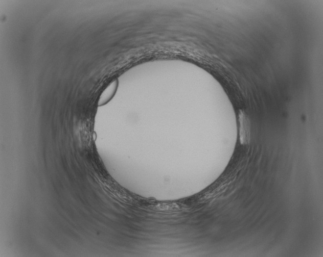 X0000068831491200605261602