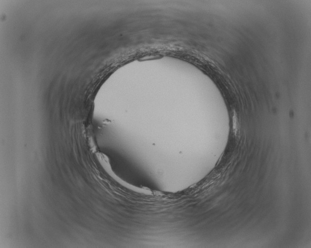 X0000068831492200605261602