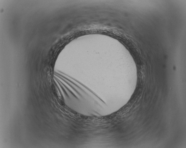 X0000068831493200605261602