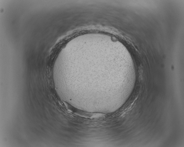 X0000068831494200605261602