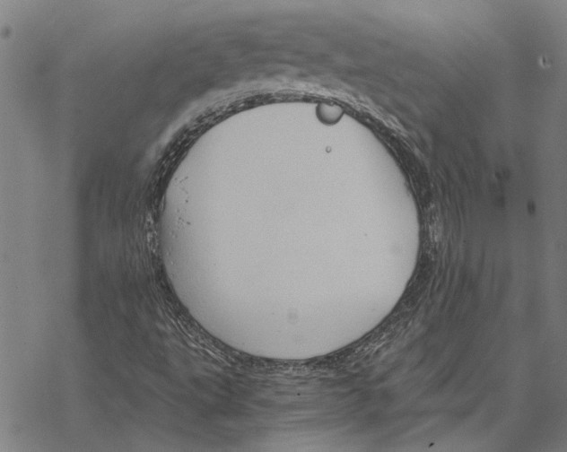 X0000068831495200605261602