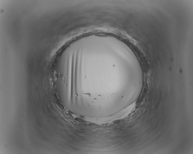 X0000068831496200605261602