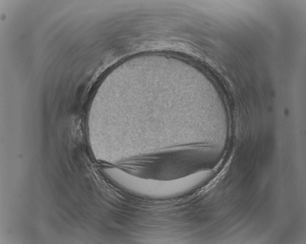 X0000068831497200605261602