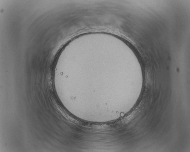 X0000068831498200605261602