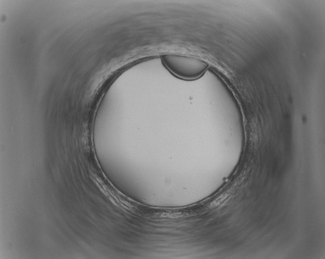 X0000068831499200605261602