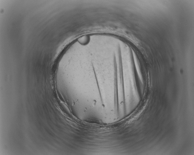 X0000068831501200605261602