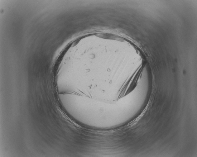 X0000068831502200605261602