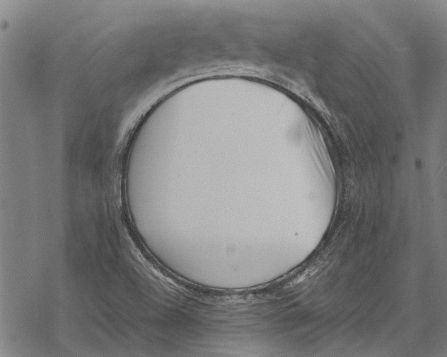 X0000068831504200605261602