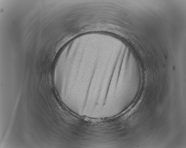 X0000068831505200605261602