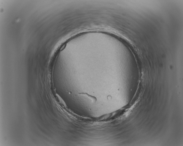 X0000068831506200605261602