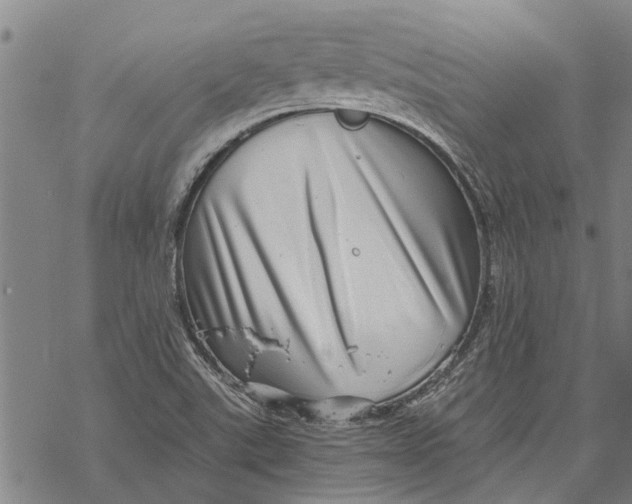 X0000068831507200605261602