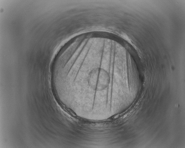 X0000068831508200605261602