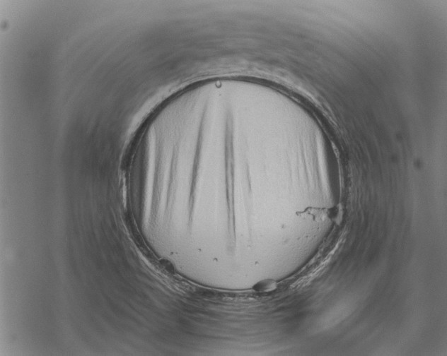 X0000068831509200605261602