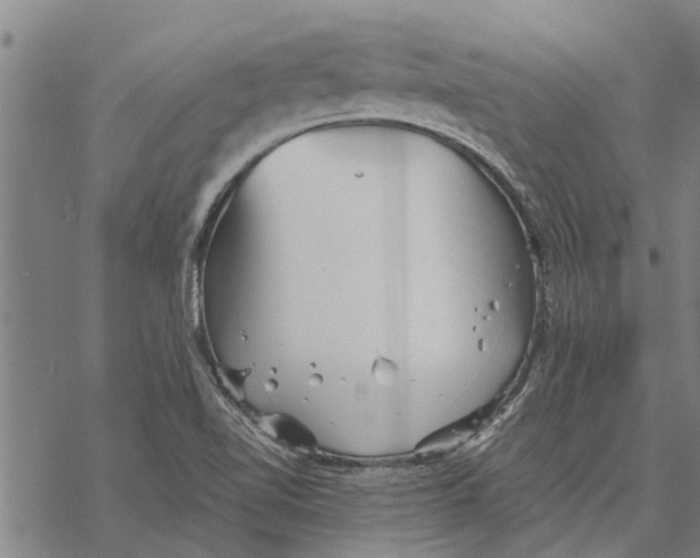 X0000068831510200605261602