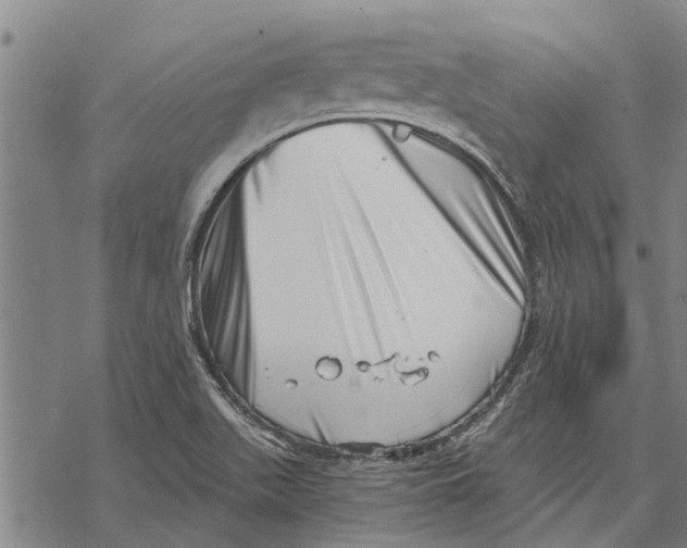 X0000068831511200605261602