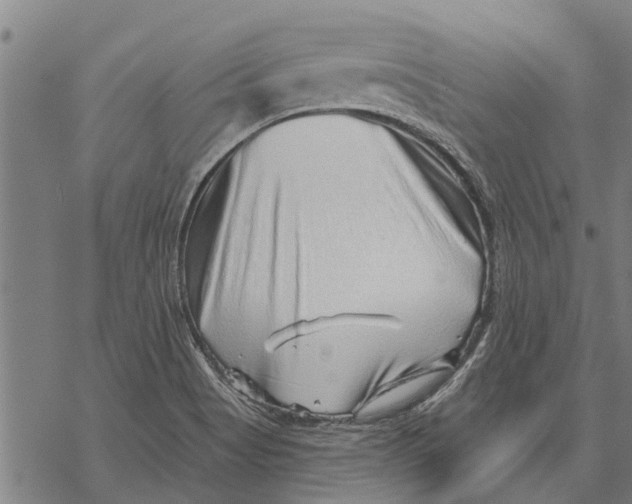 X0000068831513200605261602