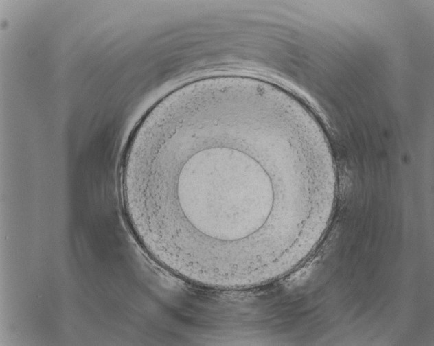 X0000068831514200605261602