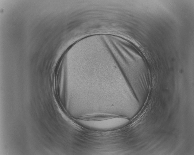 X0000068831515200605261602