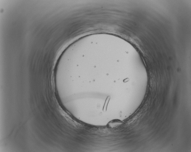 X0000068831516200605261602