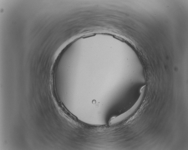 X0000068831518200605261603