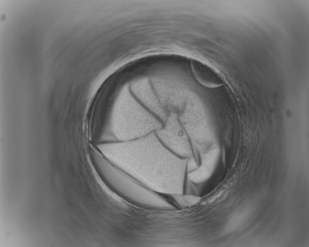 X0000068831519200605261603