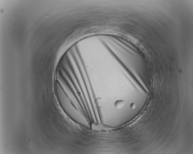 X0000068831520200605261603