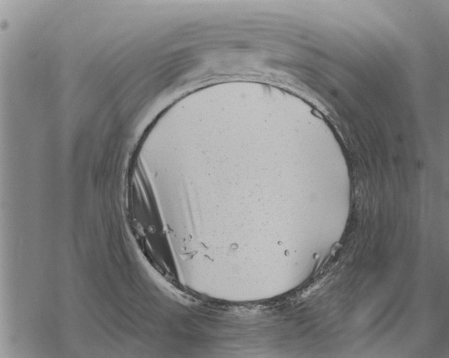 X0000068831523200605261603