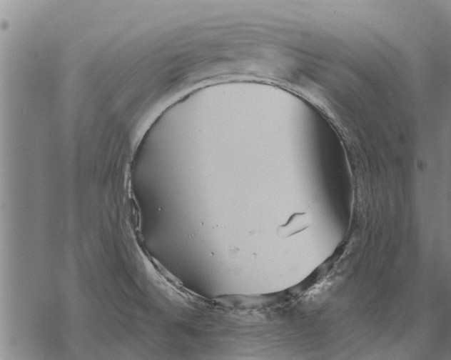 X0000068831524200605261603