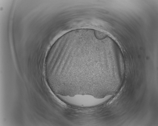 X0000068831525200605261603