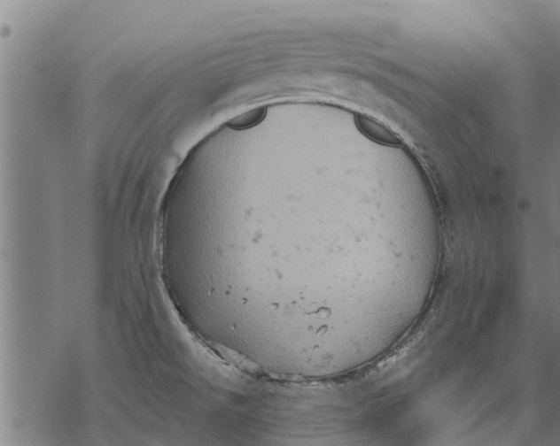 X0000068831526200605261603