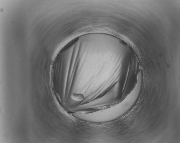 X0000068831528200605261603