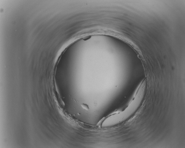 X0000068831530200605261603