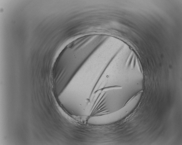 X0000068831531200605261603