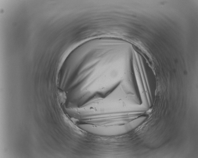 X0000068831532200605261603