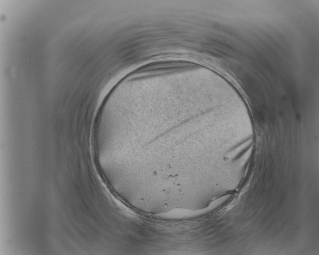 X0000068831533200605261603