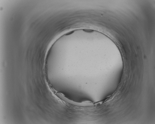 X0000068831536200605261603